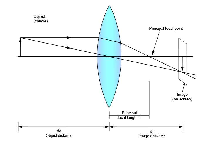 Convex lens ray diagram showing the principal focal point and principal focal length